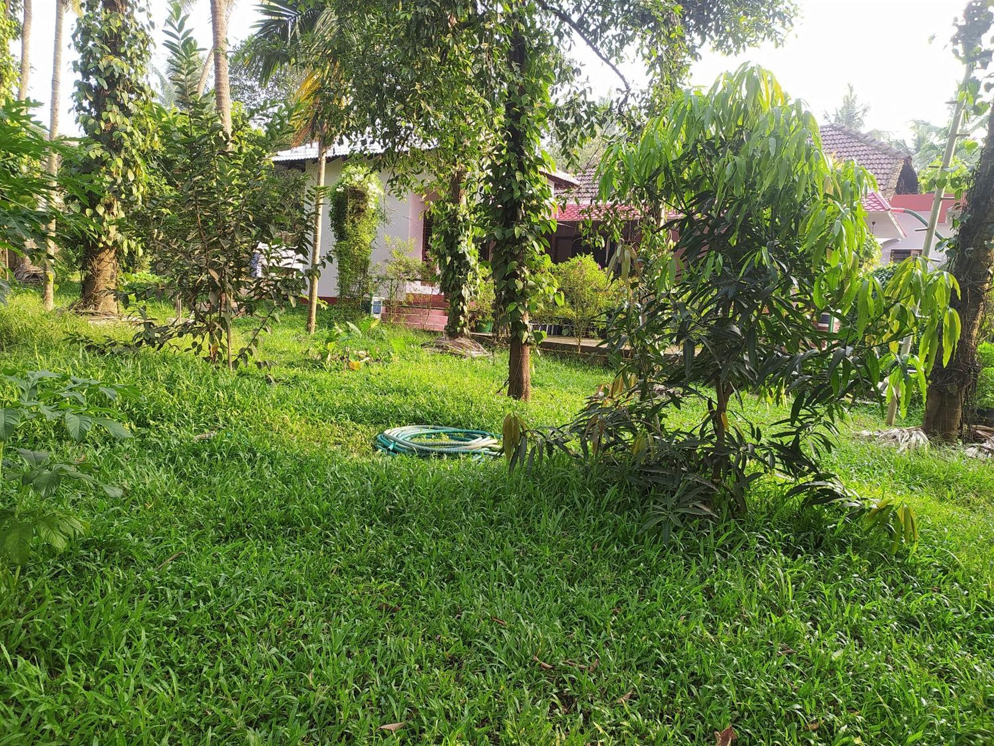Runnin Airport - Homestay Gurpur Exteriér fotografie